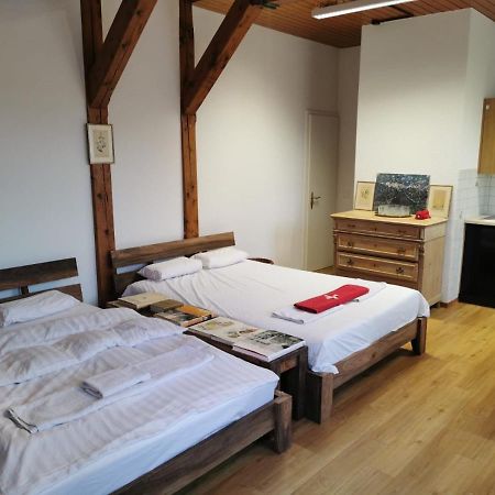 Simple Studio 36M2 In The Center Of Burgdorf Private Parking Small Bathroom Exterior foto